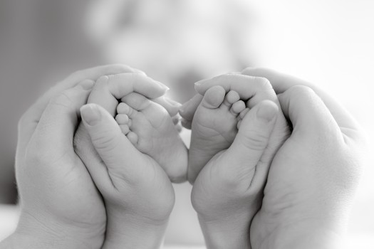 Kaikki kuvauspalvelut