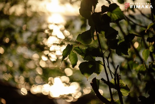 Valokuvat digikuvista