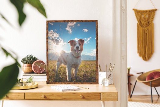 Kaikki tulostuspalvelut